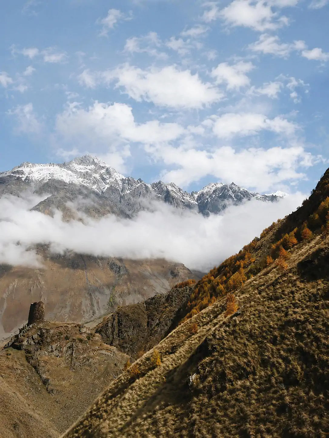 Your Mountain Escape