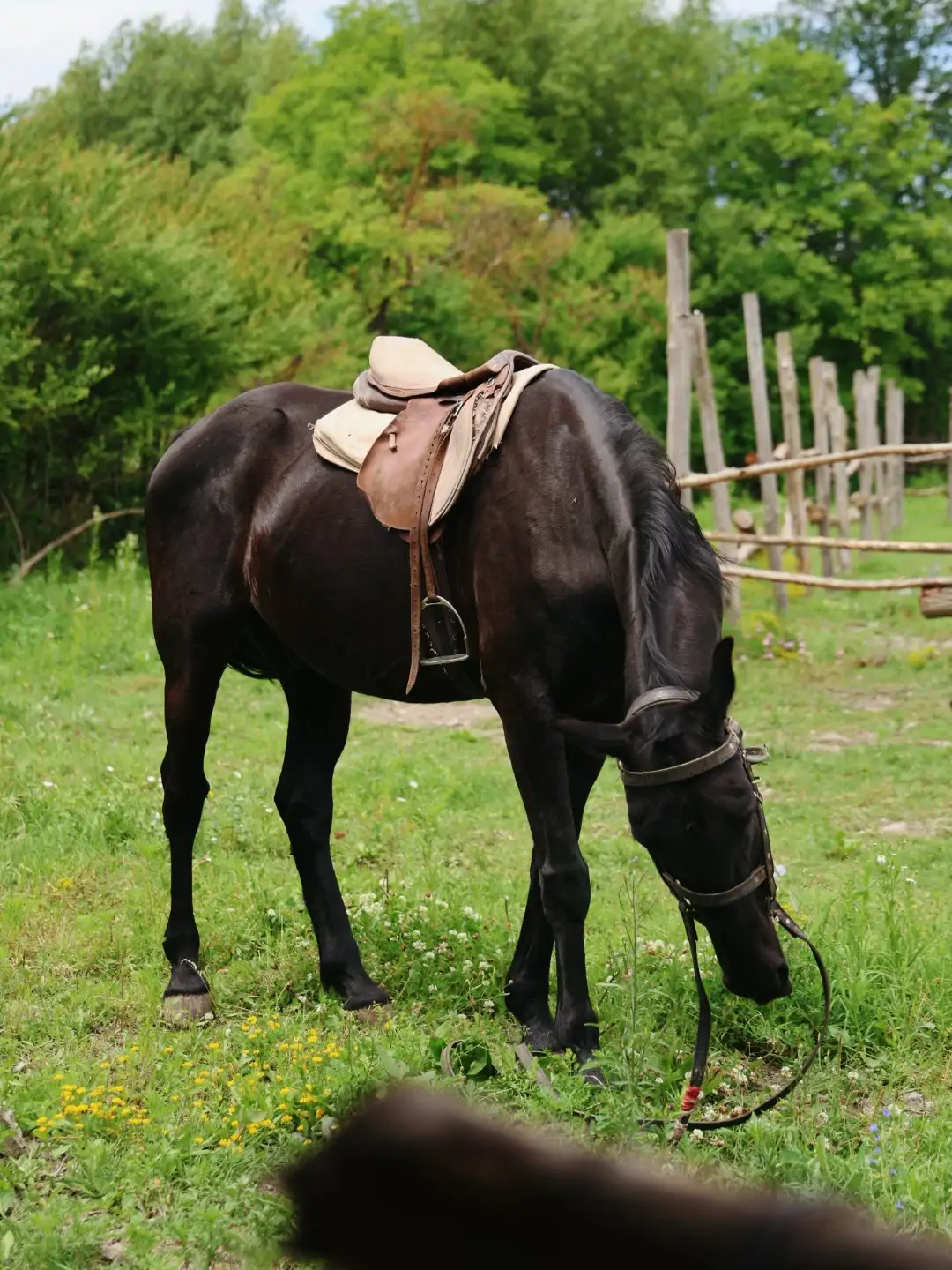 Ranch in Variani