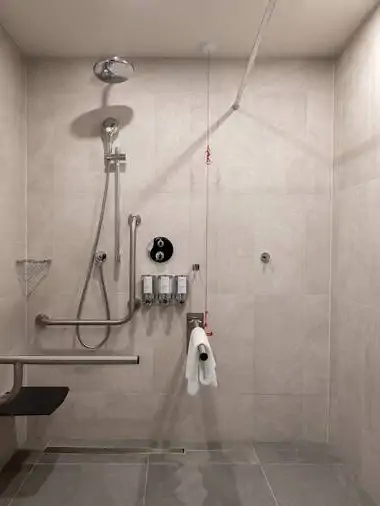 Queen Accessible Room