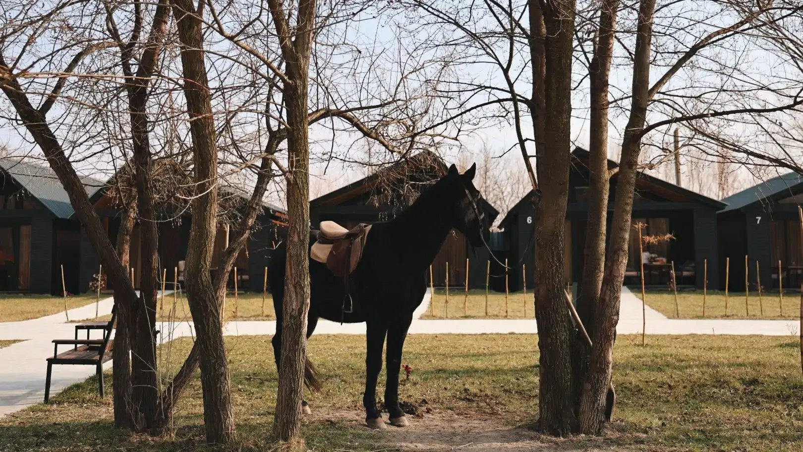 Outdoor Activities