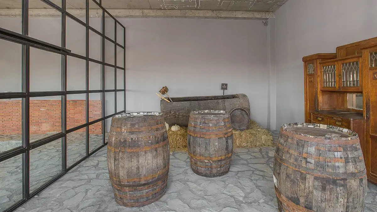 Wine Tours