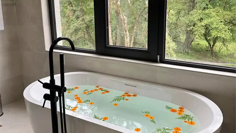 Superior Suite N305