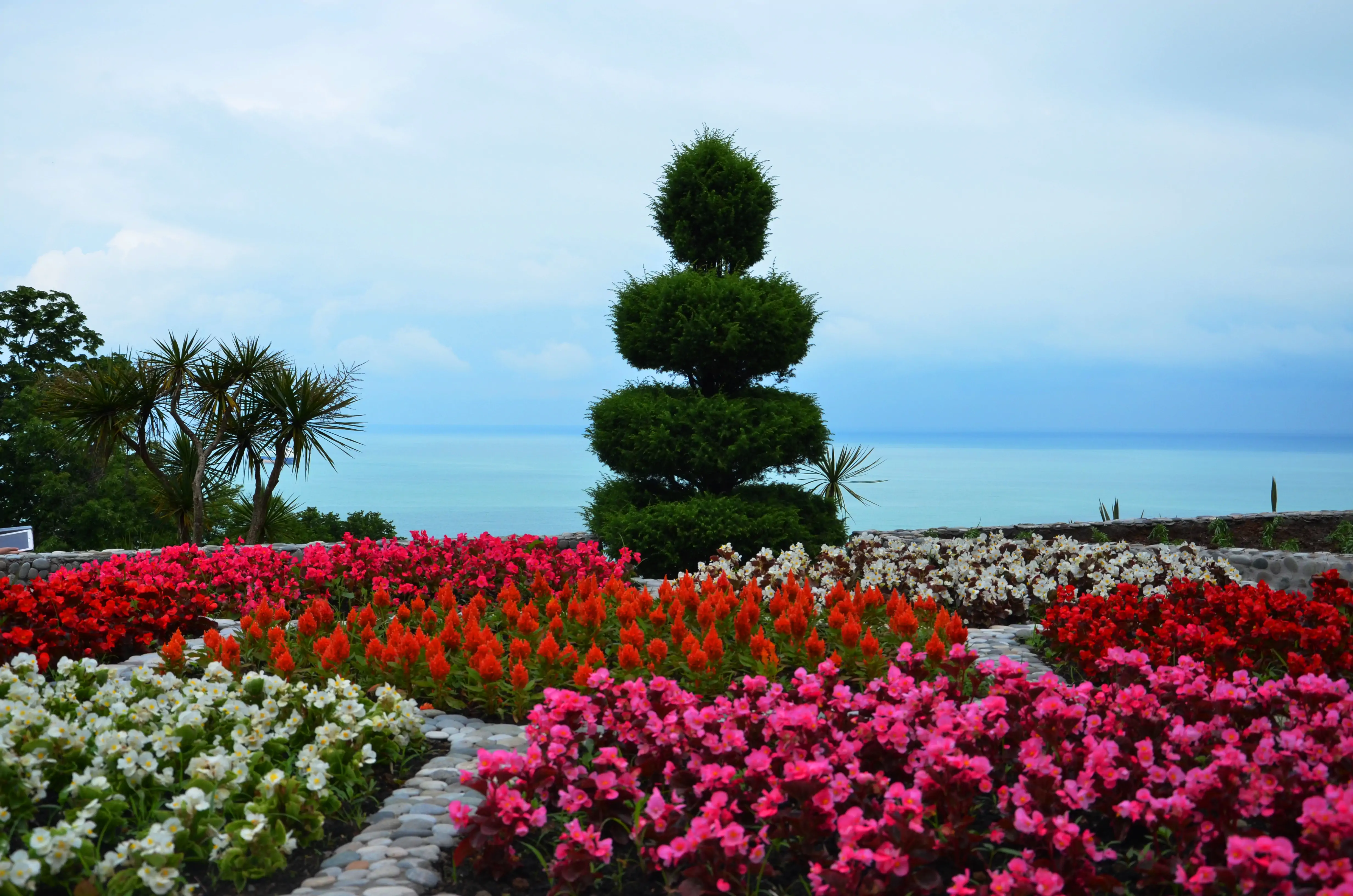Botanical Garden