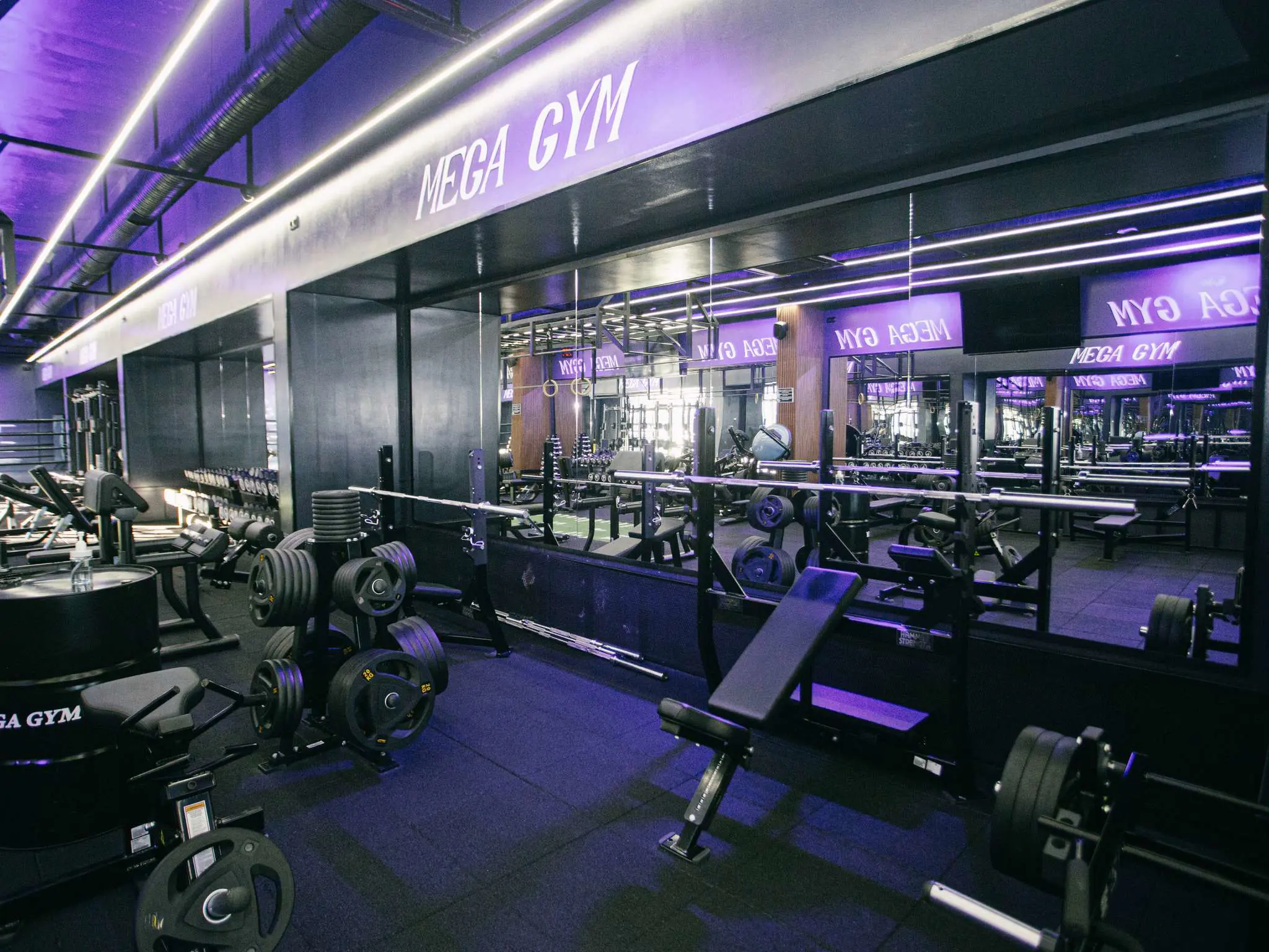 Gym
