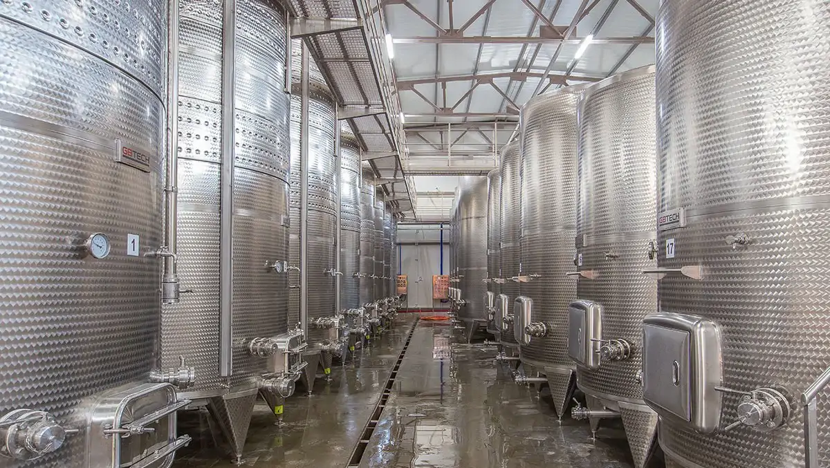 Wine Tours