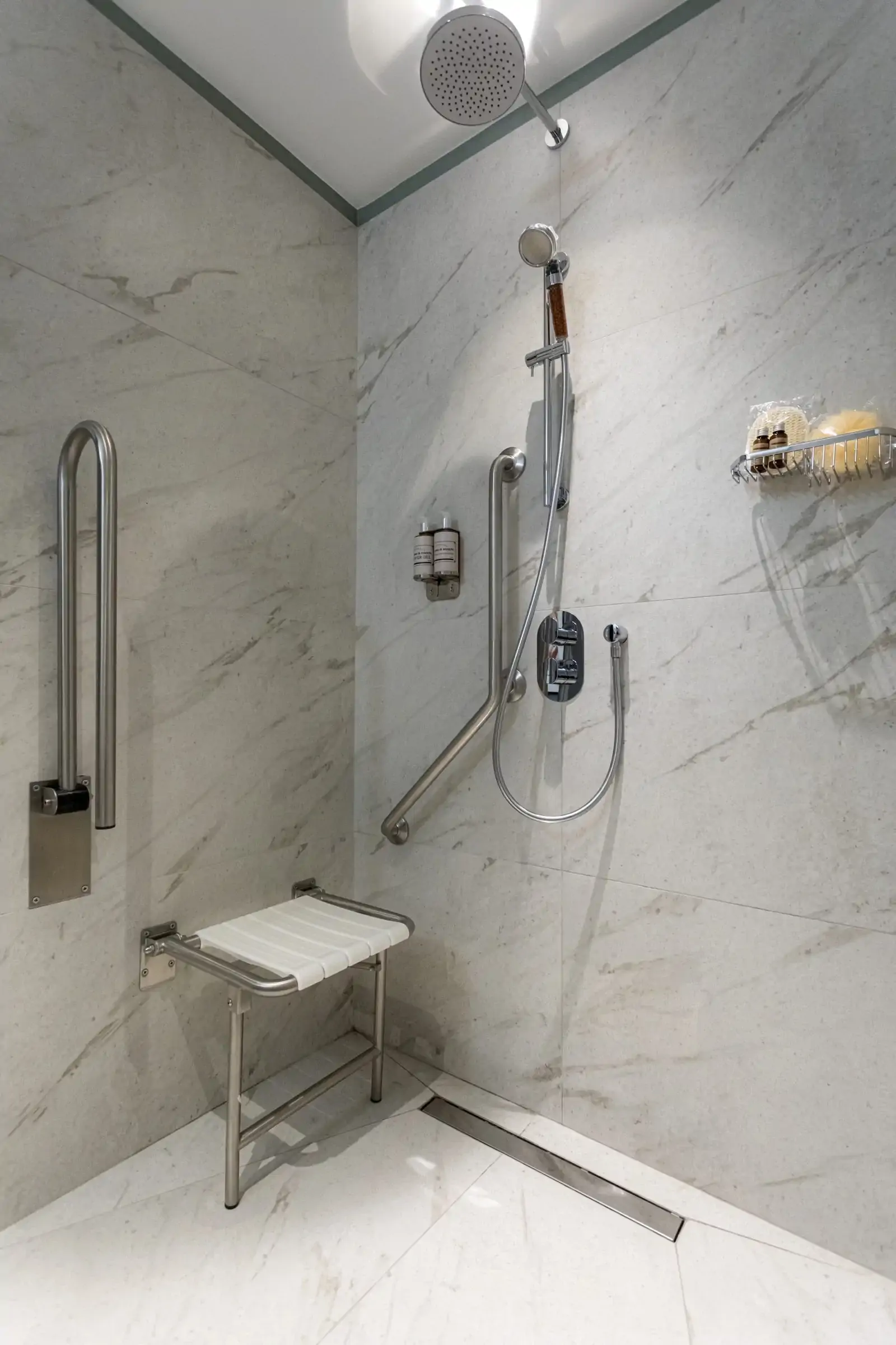 Standard Accessible Room